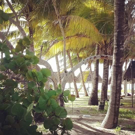 Hotel San Felipe De Jesus Yucatan Екстериор снимка